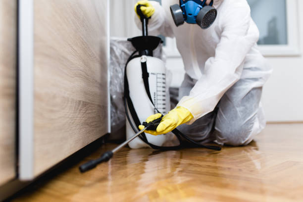 Best Pest Prevention Services  in Emerald Lake Hills, CA