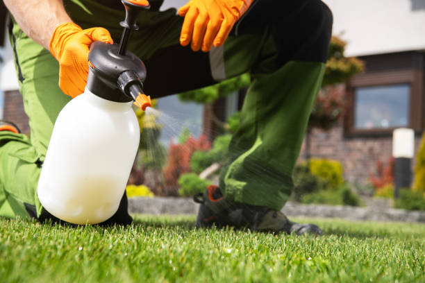 Best Exterminator Services  in Emerald Lake Hills, CA
