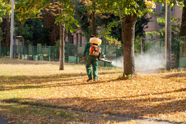 Best Bird Control  in Emerald Lake Hills, CA